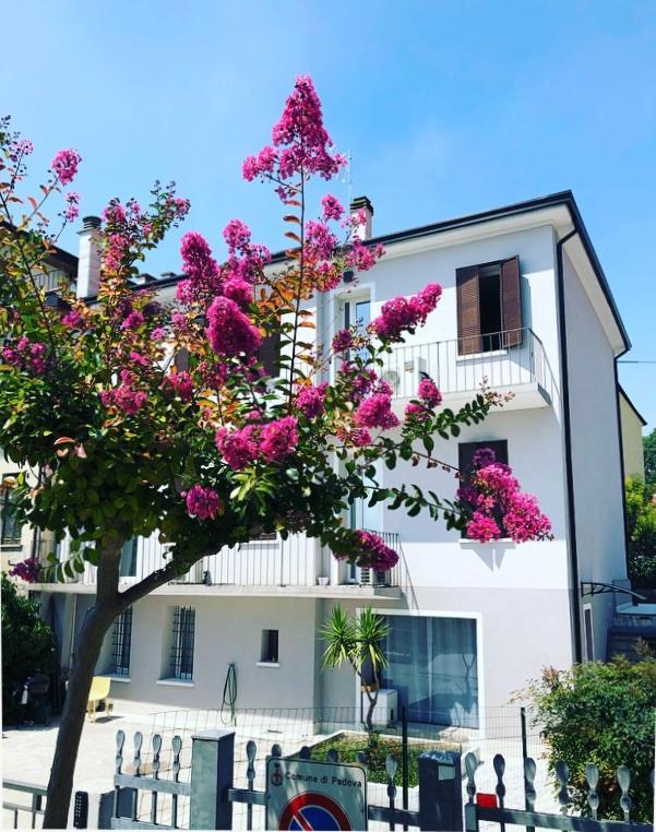 Civico21 Hotel Padua Buitenkant foto